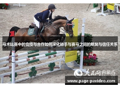 马术比赛中的竞技与合作如何深化骑手与赛马之间的默契与信任关系