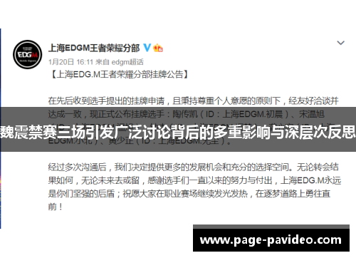 魏震禁赛三场引发广泛讨论背后的多重影响与深层次反思