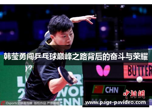 韩莹勇闯乒乓球巅峰之路背后的奋斗与荣耀